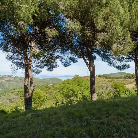 Villa Campo Al Pero *